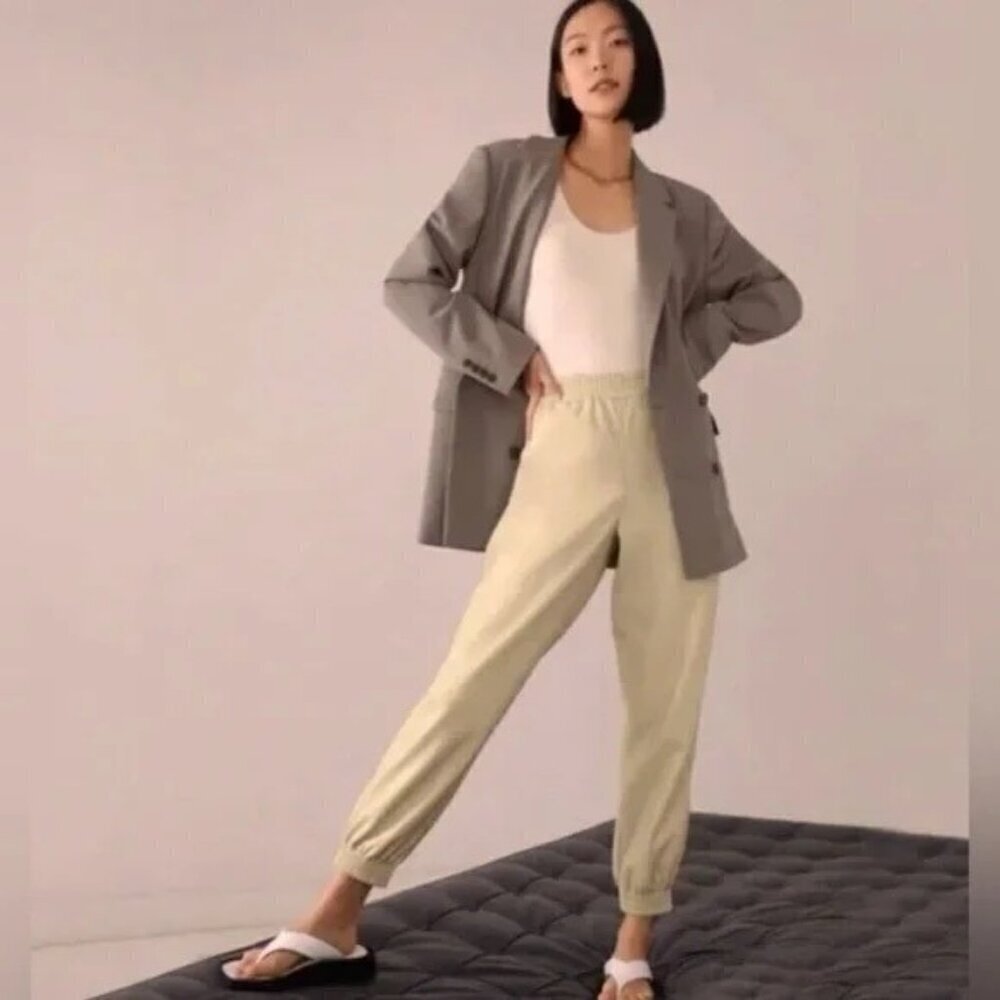 Aritzia Babaton Zedel Faux Vegan Leather Jogger Pant in cream Size XS High Rise